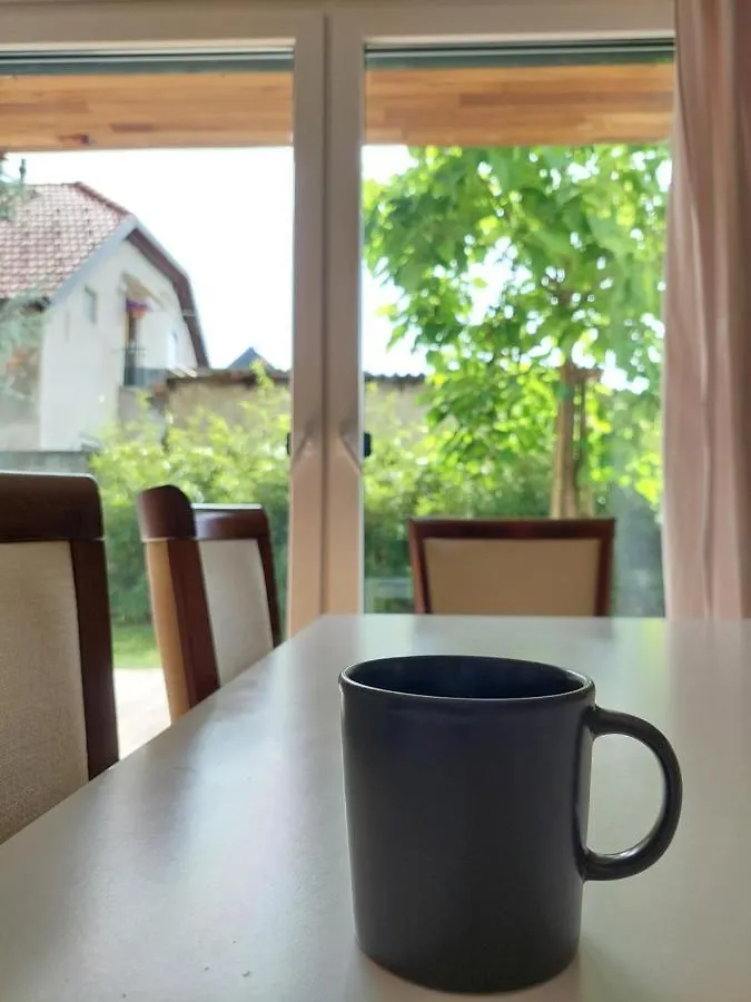 R41 - Tivoli Groundfloor Apartment Gostinjska kuća